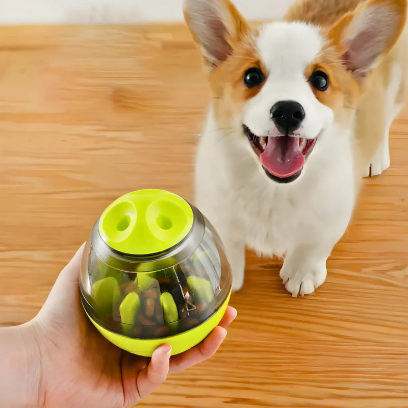 Brinquedo Interativo Para Cães com Dispenser para Petisco e